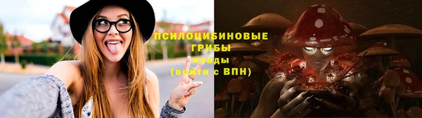 крисы Зеленокумск