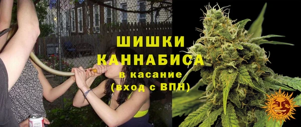 крисы Зеленокумск