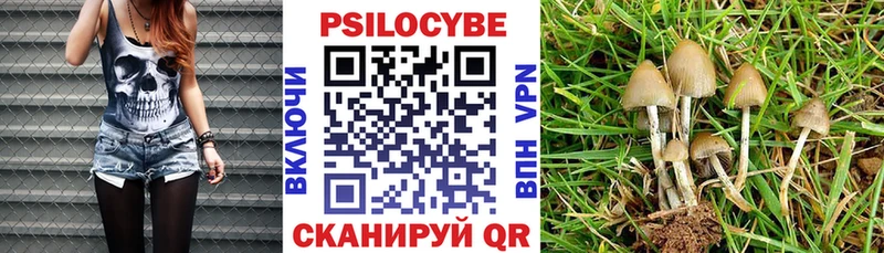 сайты даркнета Telegram  Жуковский  Псилоцибиновые грибы Magic Shrooms  купить  сайты 